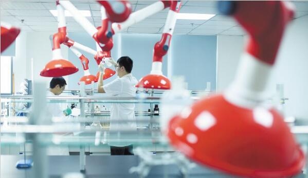 新宝GG—创立事业平台